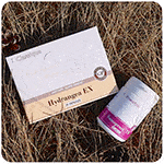 hydrangea-ex-sanoprost-tr-santegra-rinkinys-vyrams-v-4-kaina-akcija